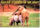 Владіслав Одеський фотография #19 (источник - https://vk.com/id63938111)