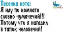 Свєта Зіняк фотография #11 (источник - https://vk.com/id139651058)
