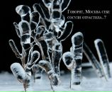 Фотография Сушилина Евгения