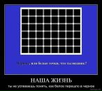 Сергій Добош фотография #34 (источник - https://vk.com/id7118660)