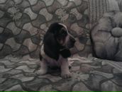 Фотография Уткиной Татьяны