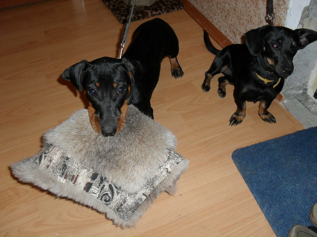 Александр Лысов фотография #27