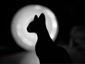 Фотография Максютовой Дианы