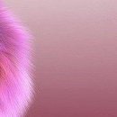 Світлана Курей фотография #19 (источник - https://vk.com/id70915138)