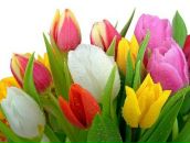 Фотография Глуховченко Марины