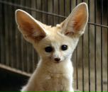 Фотография Филипповой Ирины