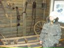 Фотография Настёна Цветок