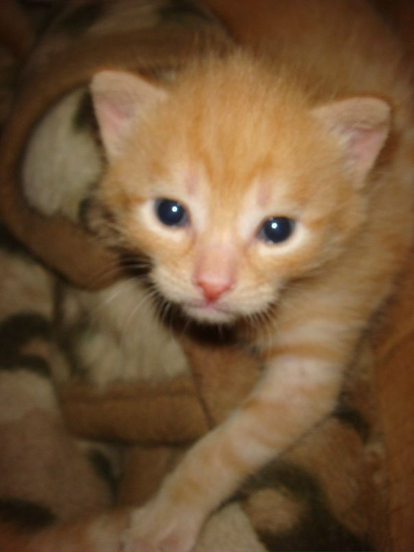 Оля Хапцова фотография #39