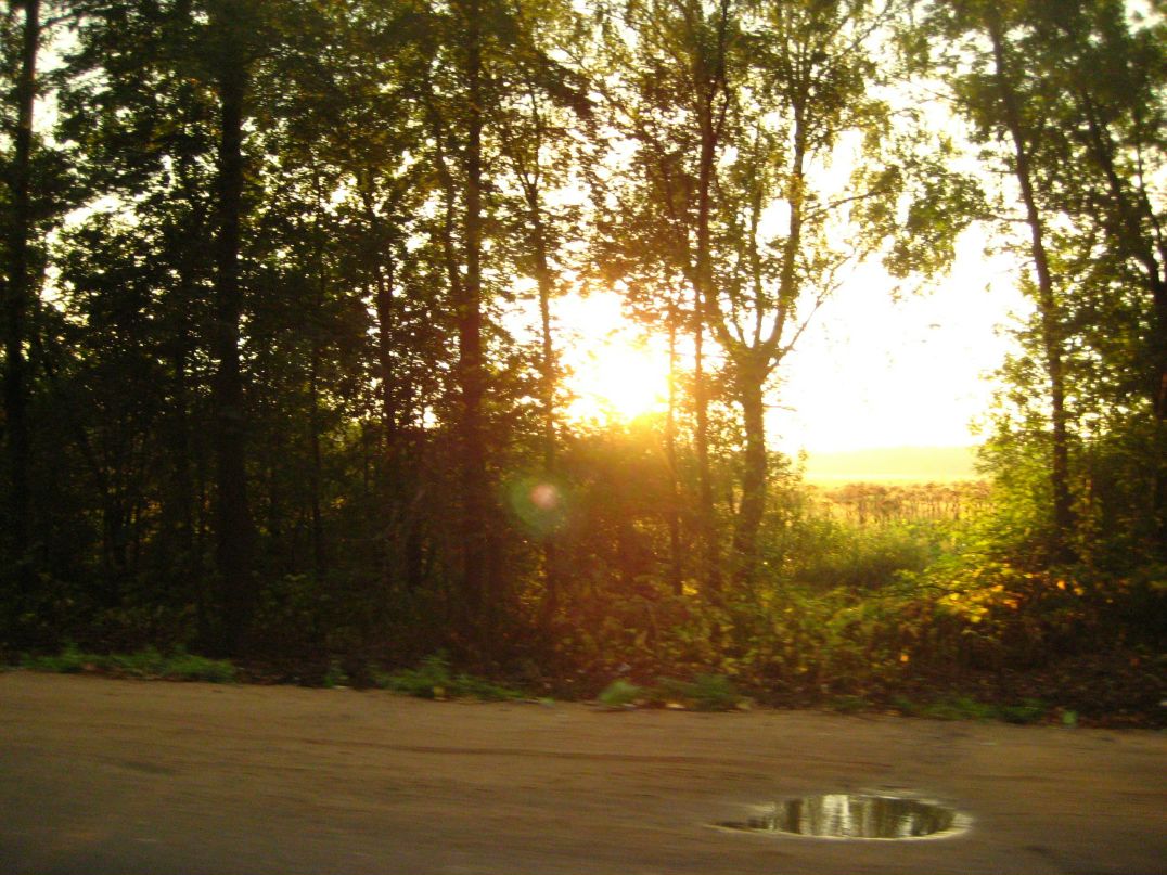 Дмитрий Линьков фотография #43