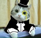 Антон Воробьёв фотография #6 (источник - https://vk.com/id3472930)