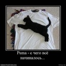 Игорь Старков фотография #46 (источник - https://vk.com/id84991284)