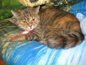 Фотография Лазаревой Сашки