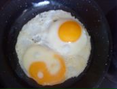 Фотография Шейкиной Елены