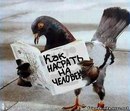 Іннуся Варварич фотография #38 (источник - https://vk.com/id160732866)