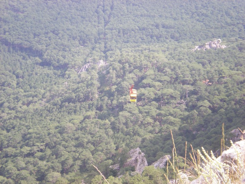 Дима Дмитриев фотография #39