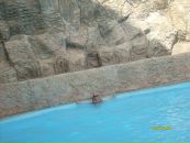 Фотография Паутовой Елены