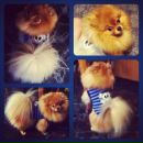 Julia Obukhova фотография #31 (источник - https://vk.com/id967301)