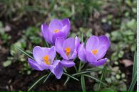 Марія Карпінська фотография #7 (источник - https://vk.com/id11737031)