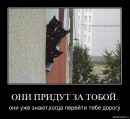 Маркіян Костишин фотография #4 (источник - https://vk.com/id194987205)