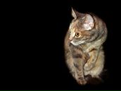 Фотография Соломенниковой Ольги