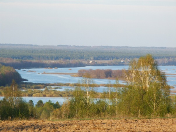 Дмитрий Cеребряков фото №28