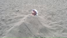 Ram Sam фотография #21 (источник - https://vk.com/id13698371)