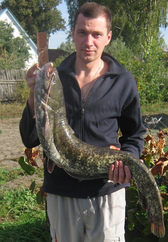 Дмитрий Черепанов фотография #3