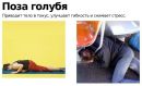 Богдан Янічко фотография #39 (источник - https://vk.com/id26134723)