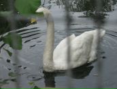 Фотография Калчакеевой Натальи