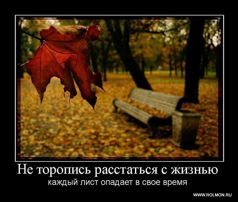 Эдуард Орлов фотография #16