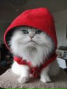 Дімон Курин фотография #3 (источник - https://vk.com/id137368217)