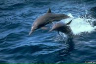 Фотография Ефимовой Алены