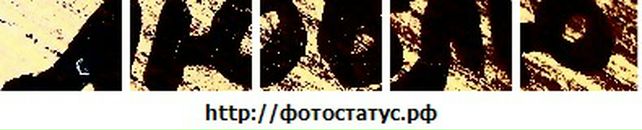 Міша Приймич фотография #43 (источник - https://vk.com/id53631175)