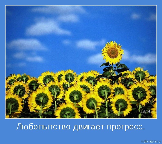 Natalya *** фотография #28