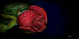 Міша Карасьов фотография #36 (источник - https://vk.com/id40385448)