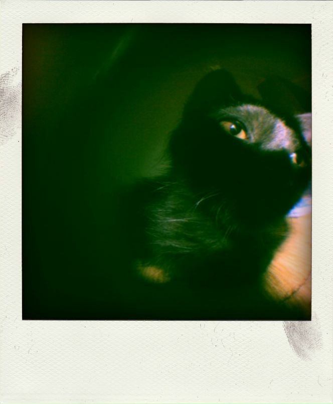 Ленар Инсапов фотография #3