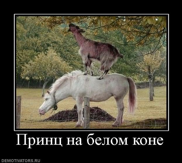 Lenochka D фотография #15