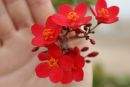 Фотография Стеценко Светланы