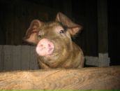 Фотография Соболева Андрея