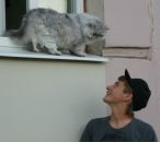 Фотография Гарастея Русика