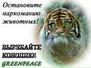 Фотография Марк Адашев