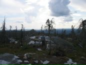 Иван Паньков фотография #39 (источник - https://vk.com/id746503)