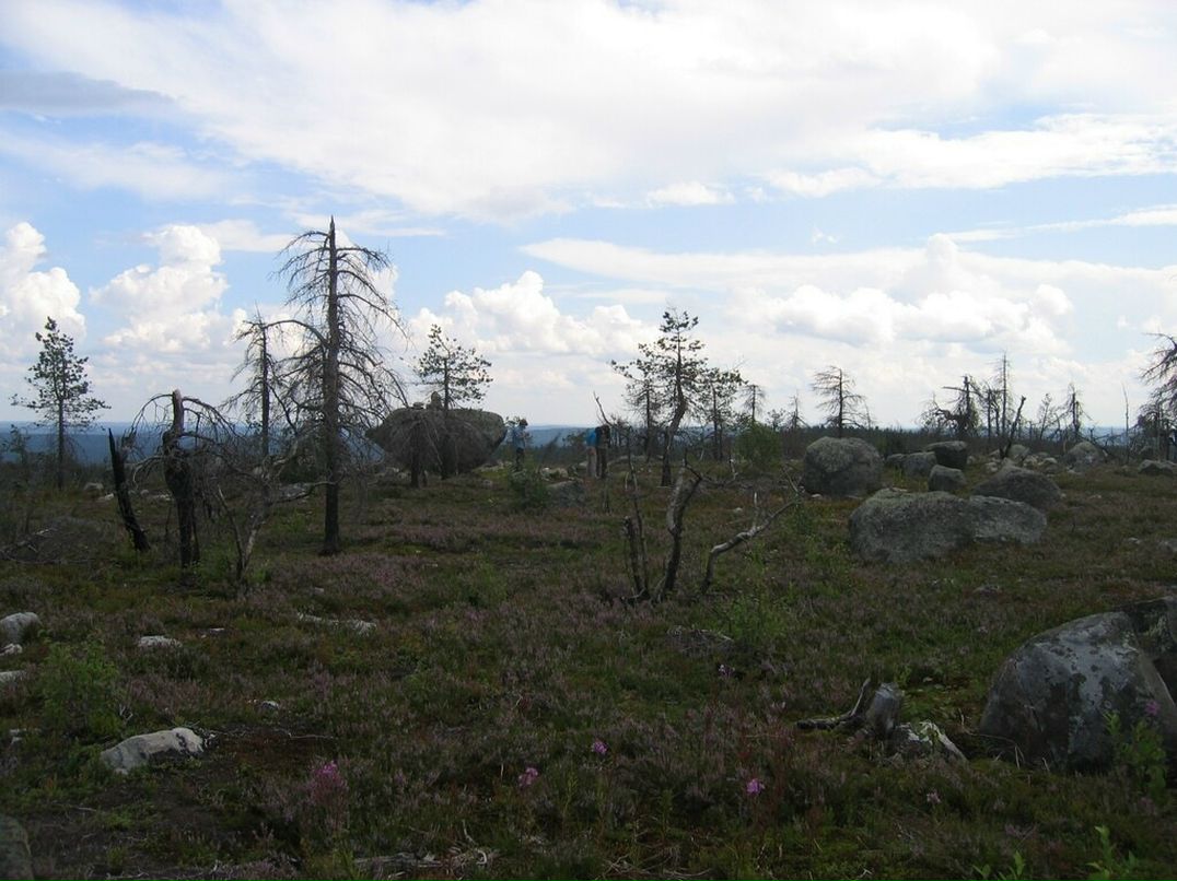 Иван Паньков фотография #29