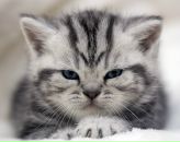 Фотография Музычук Ольги