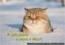 Андруся:)) Лозинська фотография #27 (источник - https://vk.com/id121655750)