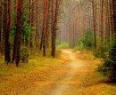 Вікуля Воробець фотография #32 (источник - https://vk.com/id159632753)