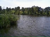 Олеся Колеснік фотография #36 (источник - https://vk.com/id80676129)