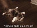 Оленка Матвієва фотография #21 (источник - https://vk.com/id159622565)