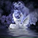 Фотография Лапиной Марины