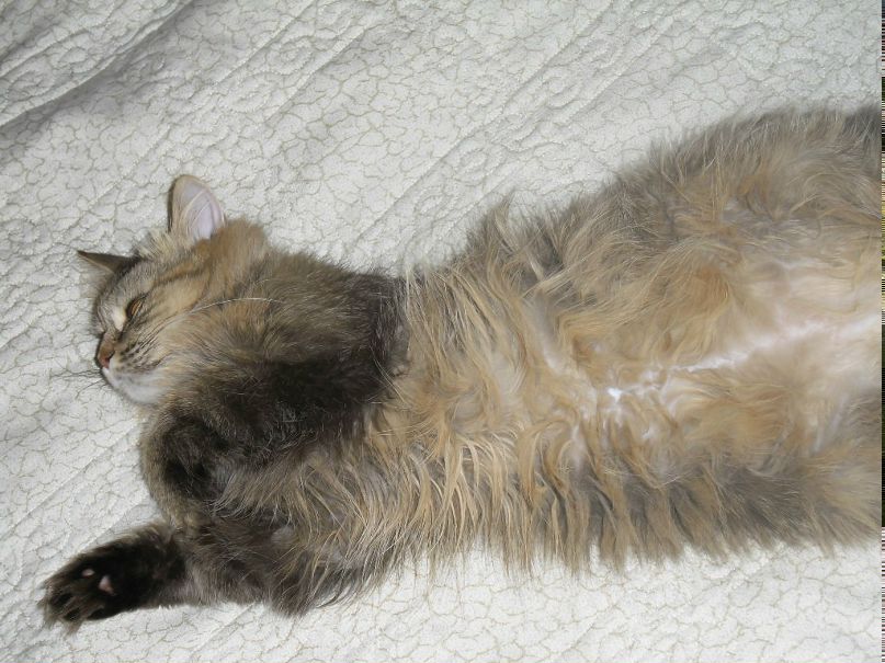 Женя Дмитриев фотография #42